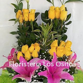 floristeriaositos7@gmail.com