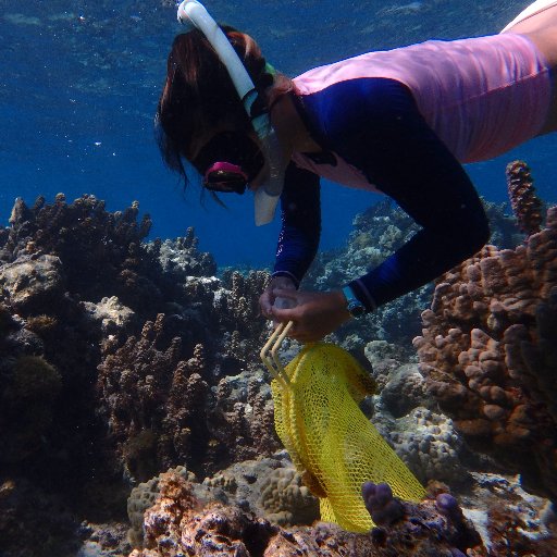 PhD student in @OlesonLab working in the Ecosystem Sciences Division at NOAA
MS Marine Biology @CSUNorthridge
https://t.co/Yrgb5Luk09