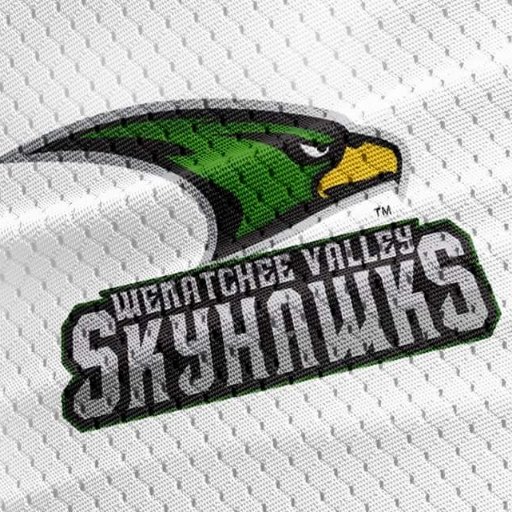 The Skyhawks was founded in 2018 by Hook Sports Media..  The Skyhawks is a professional indoor football team.