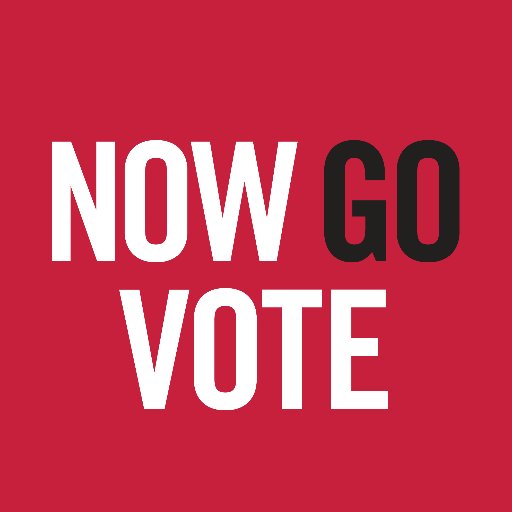 It's not about deciding WHICH issue is the most important. It's that the solution to ALL of them is the same: VOTE!