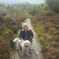 Jean Ramsay(@jeanramsay5) 's Twitter Profile Photo