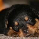 Athena Watson - @CheChe96 - Twitter