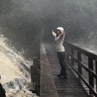 Élodie Saubin (@elsaubin) 's Twitter Profile