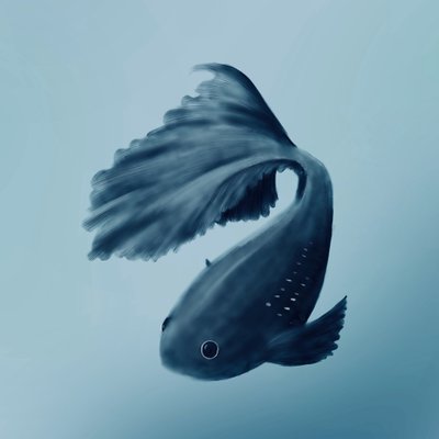 黒い魚 Lastblackfish Twitter 黒い魚 Lastblackfish Twitter