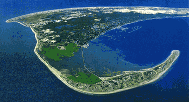 CapeCodsFinest's profile picture. order the CCF2012 Swimsuit Calendar @ http://t.co/R7qSnWbp0Y