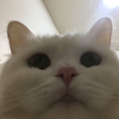 sadeem_tm's profile picture. 