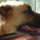 Candace Bliss - @candyb5 - Twitter