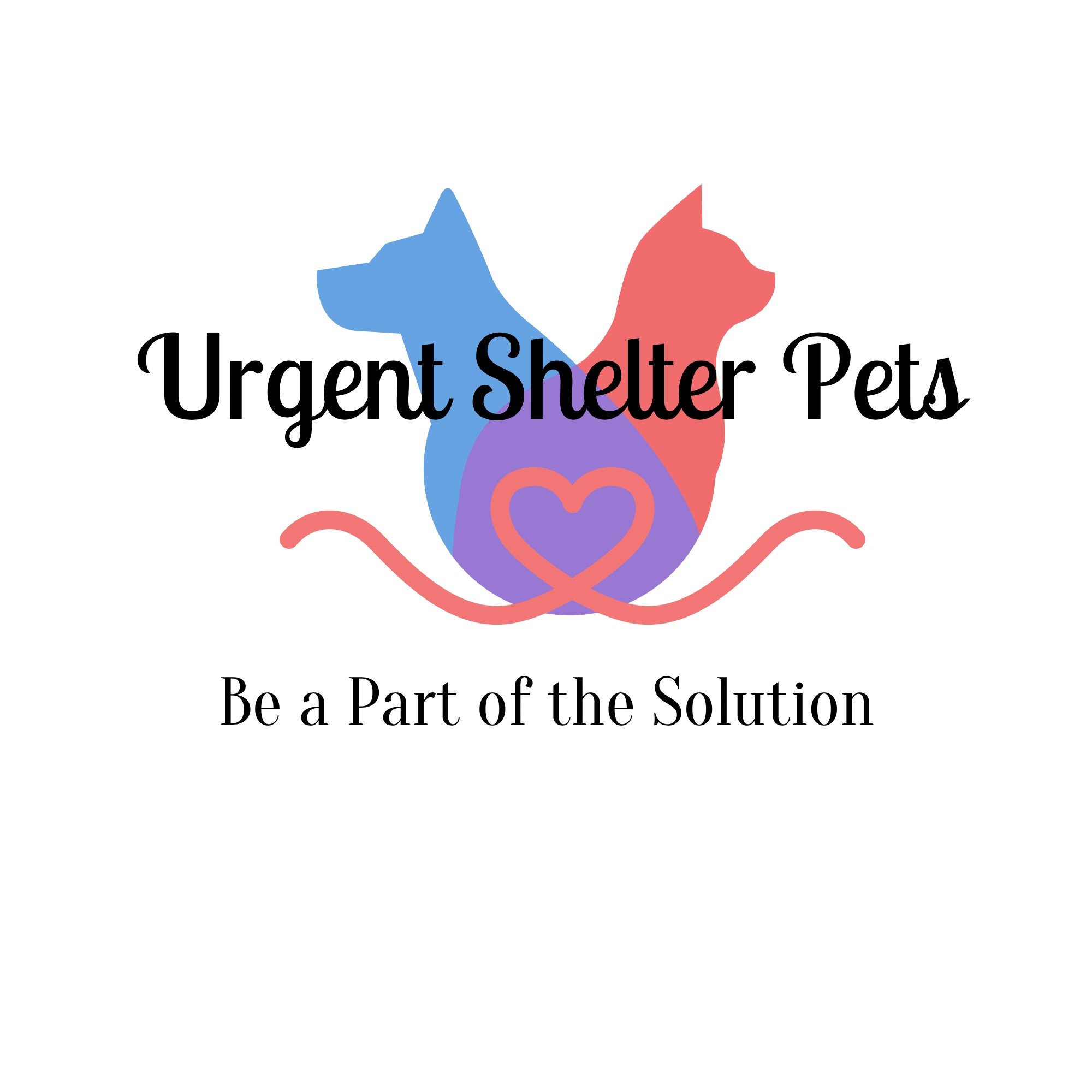 We are a group of volunteers utilizing social media to raise awareness & save animals in Houston TX Shelters in danger of being euthanized due to overcrowding.