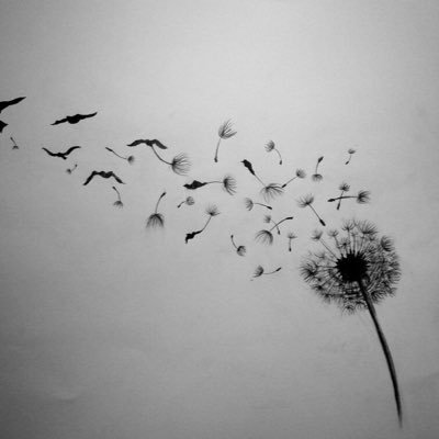 JeanneC80's profile picture. 