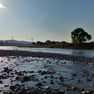 syakkuri02's profile picture. 情報収集