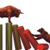ASX Trader (@asx_lottery) Twitter profile photo ASX Trader (@asx_lottery) Twitter profile photo