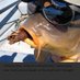CPFishingExp (@exp_fishing) Twitter profile photo CPFishingExp (@exp_fishing) Twitter profile photo