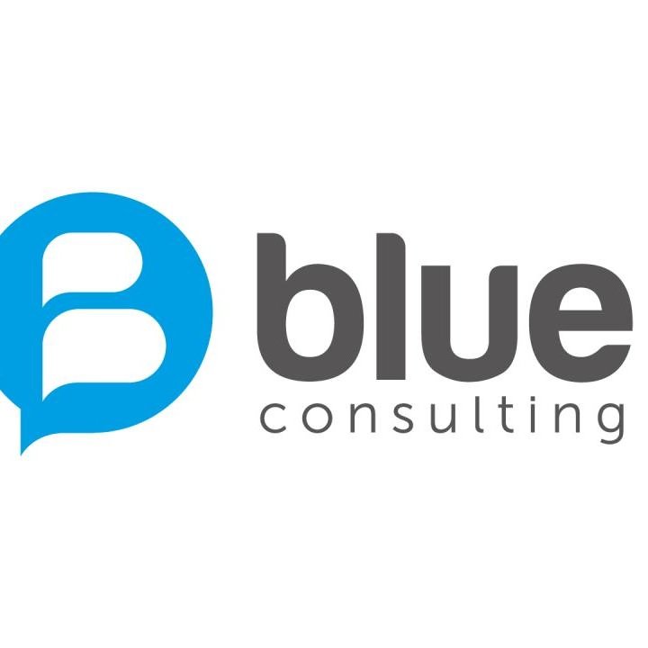 Blue Consulting, ESN intervient autour de quatre pôles d’activités :  - MOE - Infrastructure et Production - Conseil et MOA - Monétique et Moyens de paiement