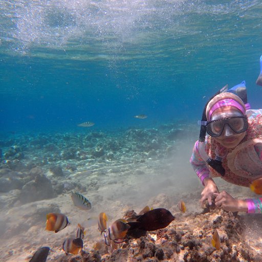 AnikaNikey's profile picture. Geografi UI 2011