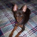 Laura and Josh Grubb - @wmbrgminpins - Twitter