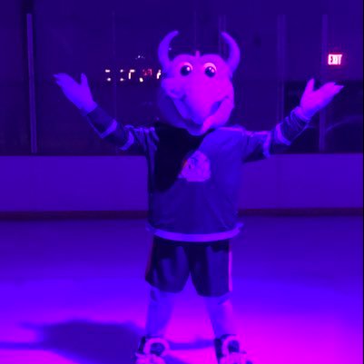 Proud Mascot of the Youngstown Phantoms Hockey Team!