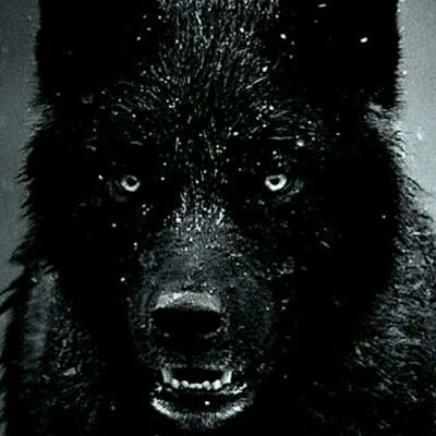 F________gr's profile picture. ‏↓˓❁⸀ء

‏سـتشـعر بجمـآل آلحيآهہ ورآحهہ آلبآل عندما تصوتوا
لـ احساس رقم وواحد
تكفوون ي اهل الفزعه 😍