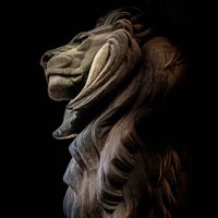 مسافر بلا عنوان (@che_soliman) 's Twitter Profile Photo