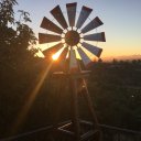 Gerald Robertson - @GJRobertson2 - Twitter