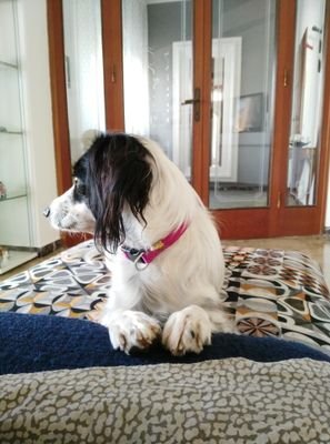 PEPENGY's profile picture. 