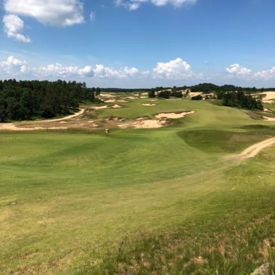 robohorse28's profile picture. God.  Family. Golf. Foo Fighters 🤘🏼