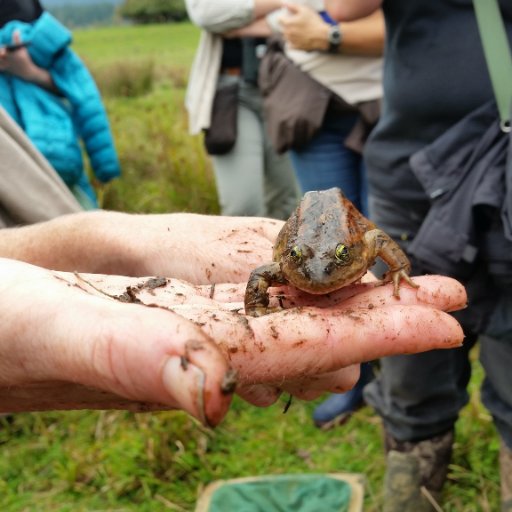 We are the Pacific Northwest chapter of @sws_org. Tweets include events, professional development, and all things #Wetlands.