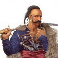 Zaporozhets (@hetman_67) 's Twitter Profile