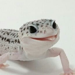 mINEOZTItHnSm9H's profile picture. пьем канфеты и кушаем чай, никакова суецыда.