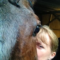 Point to Point Wales (@pro_wales) 's Twitter Profile Photo