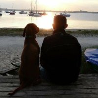 Stuart Tarrant (@stuarttarrant) 's Twitter Profile Photo Stuart Tarrant (@stuarttarrant) 's Twitter Profile Photo