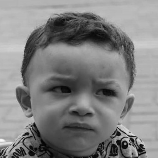 oCismado's profile picture. Freedom, Nature, TCM, Freethinker, Self-Taught, Liberal
Tài Píng 太平