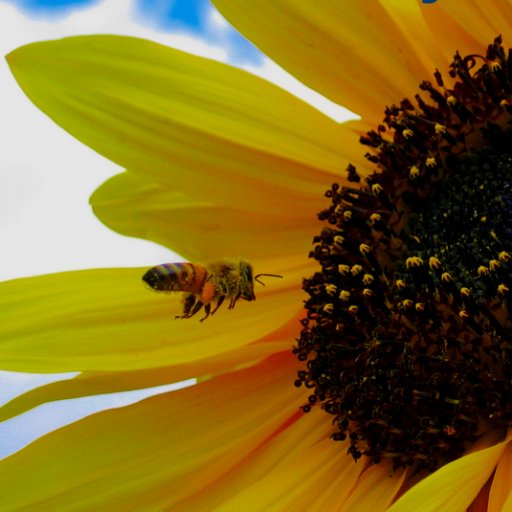 ONLY LIGHT CAN EXTINGUISH DARKNES

While looking for her missing father, a journalist gains a new perspective on the cause of the dying of the bees.