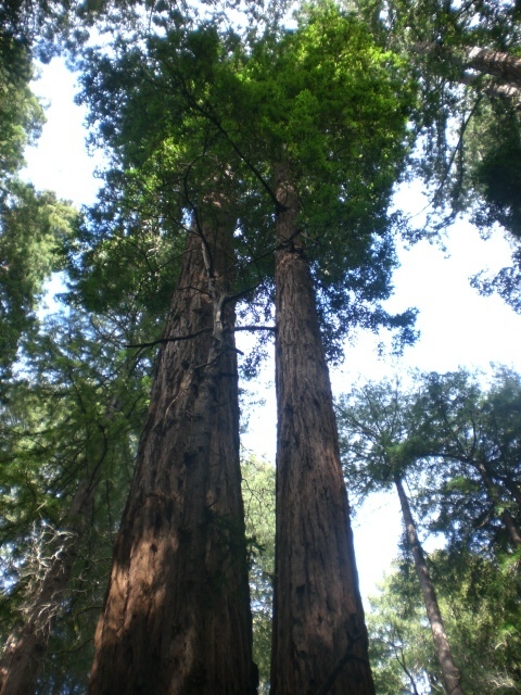 Environmental sense makes economic cents