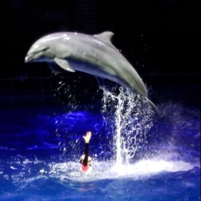 dokyunlove_8's profile picture. キレイな風景で癒されたい🍀 フォローバックします✨