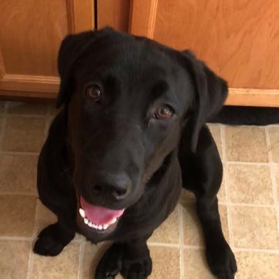 NathanDurst's profile picture. 