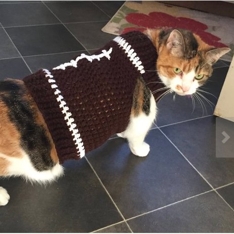 3rdkobayashi's profile picture. Music Sports Sleep Repeat.