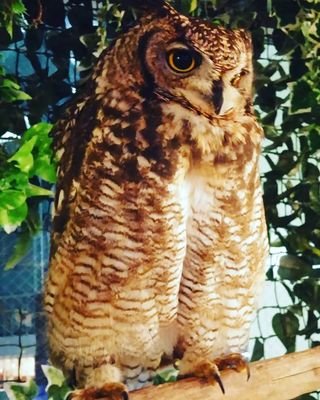 YipMingTak1's profile picture. 