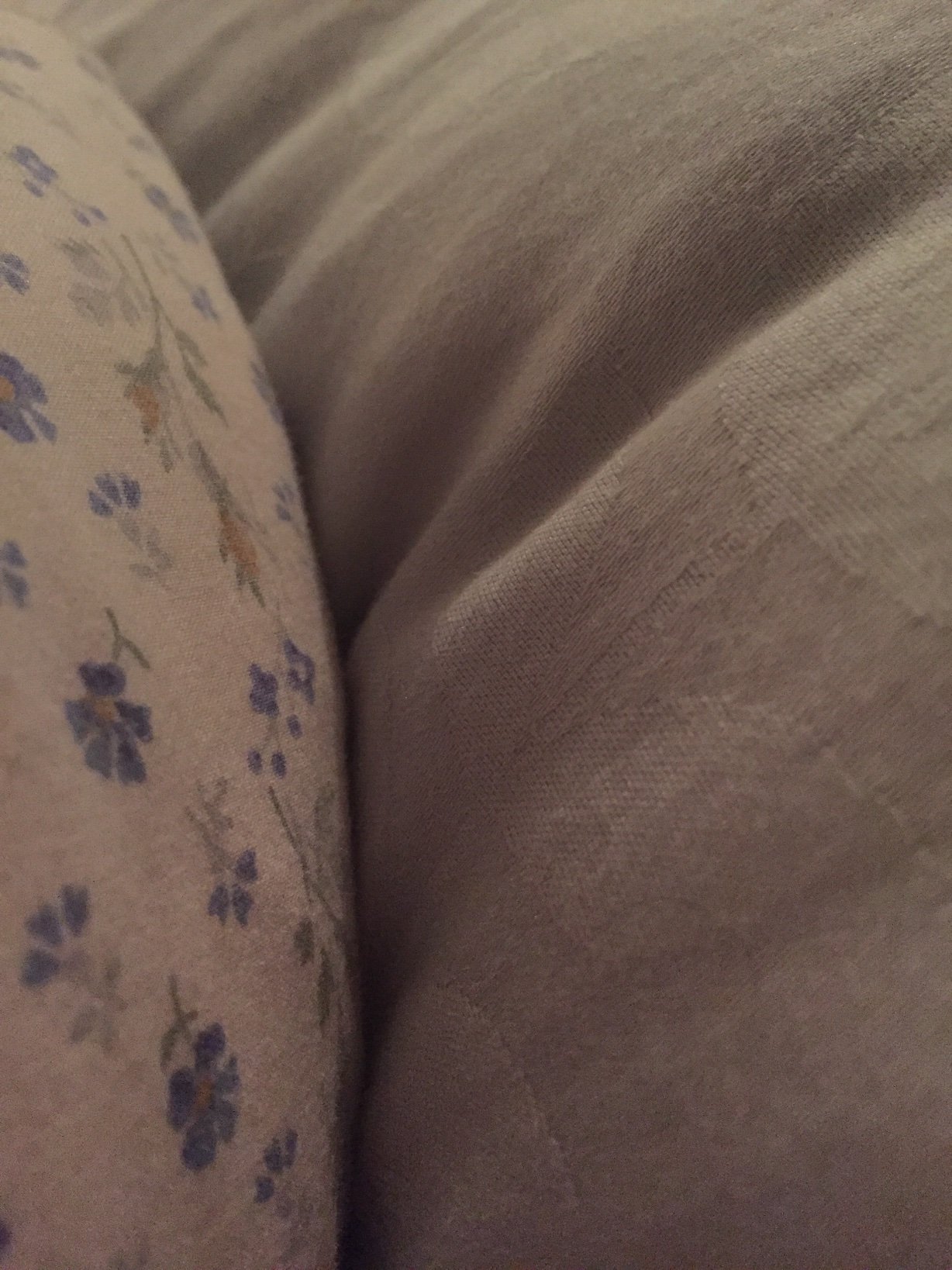 Blueraspberry28's profile picture. 