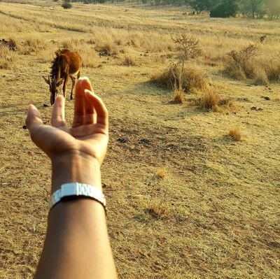 Tendie78539201's profile picture. Courage doesn't mean u don't get afraid. Being my own and Lead by Our Father. Strong and Positive growth. Prosperity.( I Never seen #LOCKDOWN Even in the WW1&2)