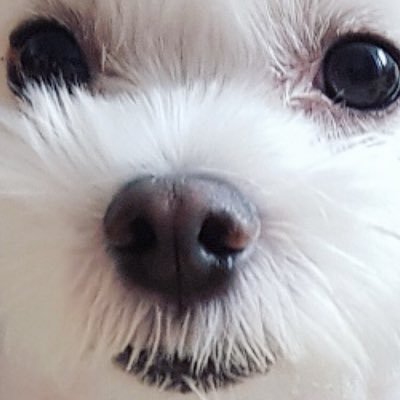 nobodyknows1919's profile picture. Okay👌🏻 Bye👋🏻 Bye👋🏻