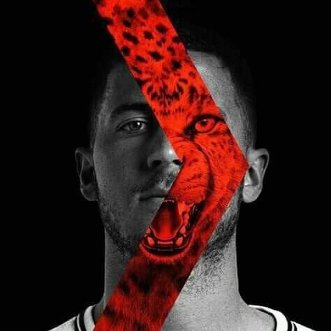 Najibul53840645's profile picture. 