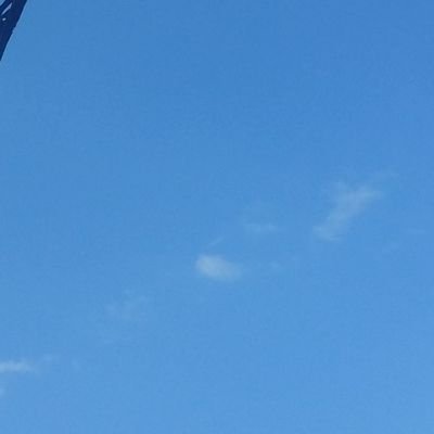 Nope_andef's profile picture. 페미니즘과 페미니스트들의 모순 정말 없다고 생각해요?