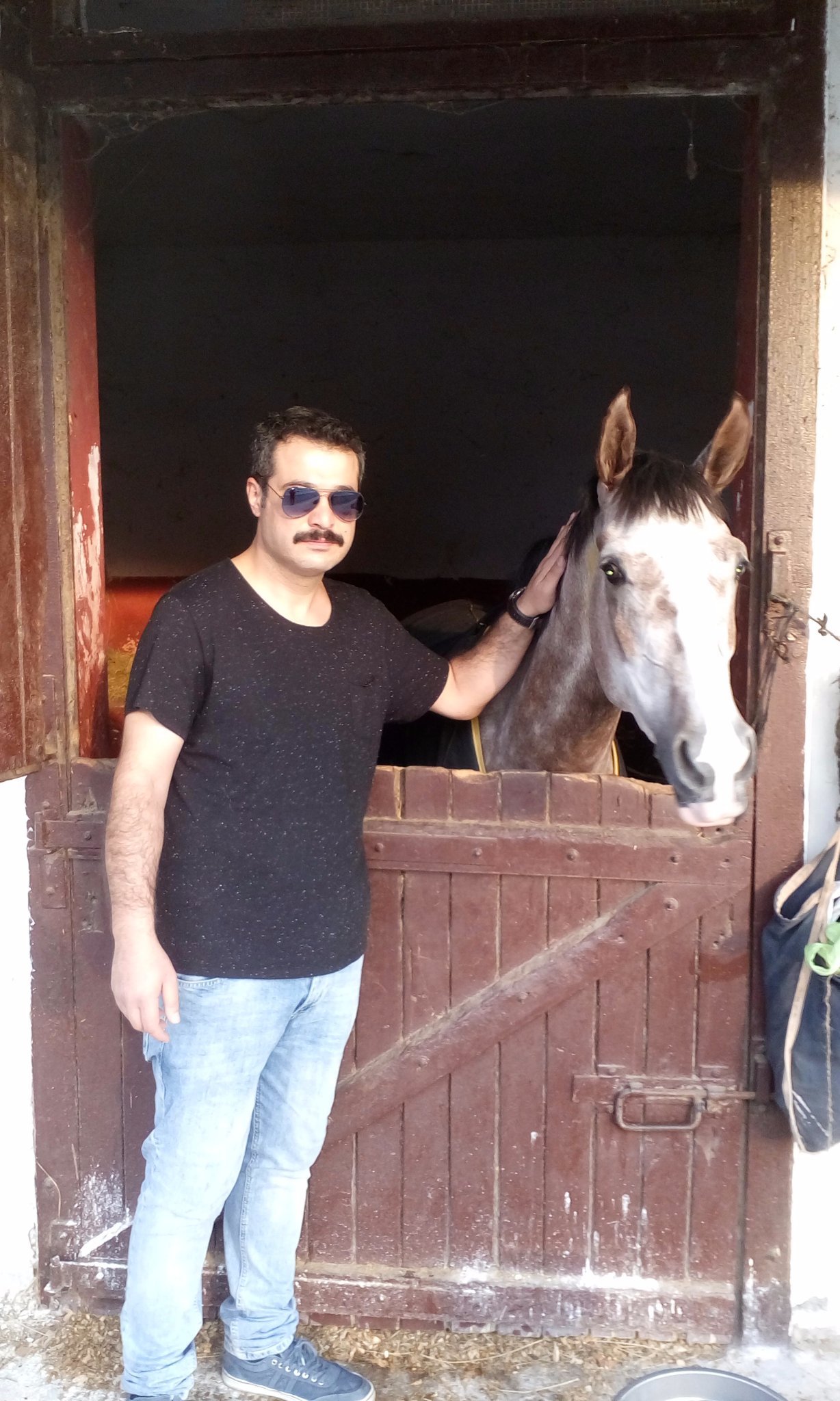 🐴TJK Stable Stud Horse Racing | Breeding ⭕🐴At Sahibi,Menajer ve Yetiştirici