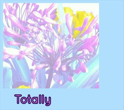 TotallyTracey's profile picture. Tracey Garrett Private Therapy bringing counselling, emotional wellbeing, good health, great connections, a touch of fun & of course all things Totally 💟💙💗