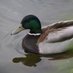 Hermitage New River Association (@hnrassociation) Twitter profile photo Hermitage New River Association (@hnrassociation) Twitter profile photo