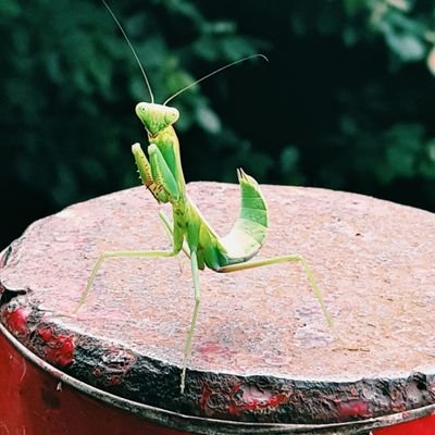 wgdwq2023's profile picture. 