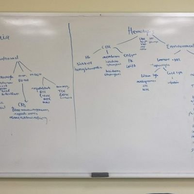 walkoflife416's profile picture. 