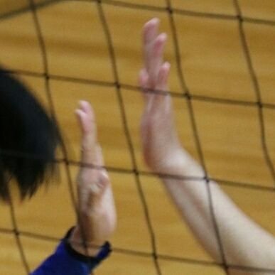 CAZ_redblue's profile picture. My Favorite→VolleyBallと猫
最近QuizKnockにもはまってます。
誤字ツイートが多いのでご注意ください(ヲイ
写真垢（photograph_vb）をオープン用に変更しました、あっちからもフォローさせていただきます。