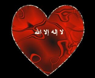 لا اله الا الله وحده لاشريك له الملك وله الحمد وهو على كل شيء قدير