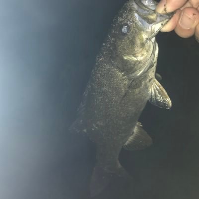 QEsgh9i9wOWJMAX's profile picture. 始めたばかりですがよろしくお願いします！